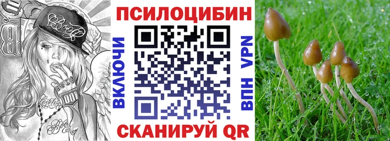 Псилоцибиновые грибы Cubensis  сколько стоит  omg зеркало  Кирсанов 
